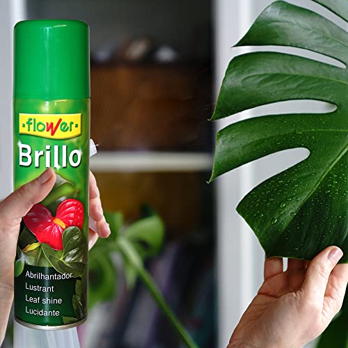 Thumbnail 2 de Flower Abrillantador Brillo Planta Natural 800 cc