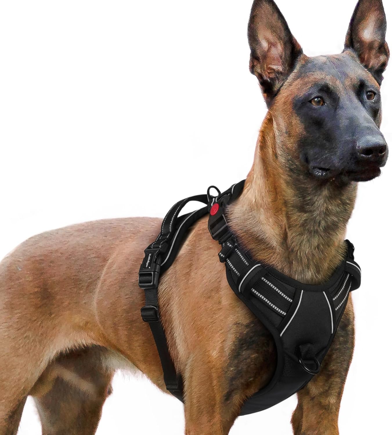 rabbitgoo Harnais pour chien anti-traction à 3 boucles, poignée et attache devant, réglable et réfléchissant (XL, noir)