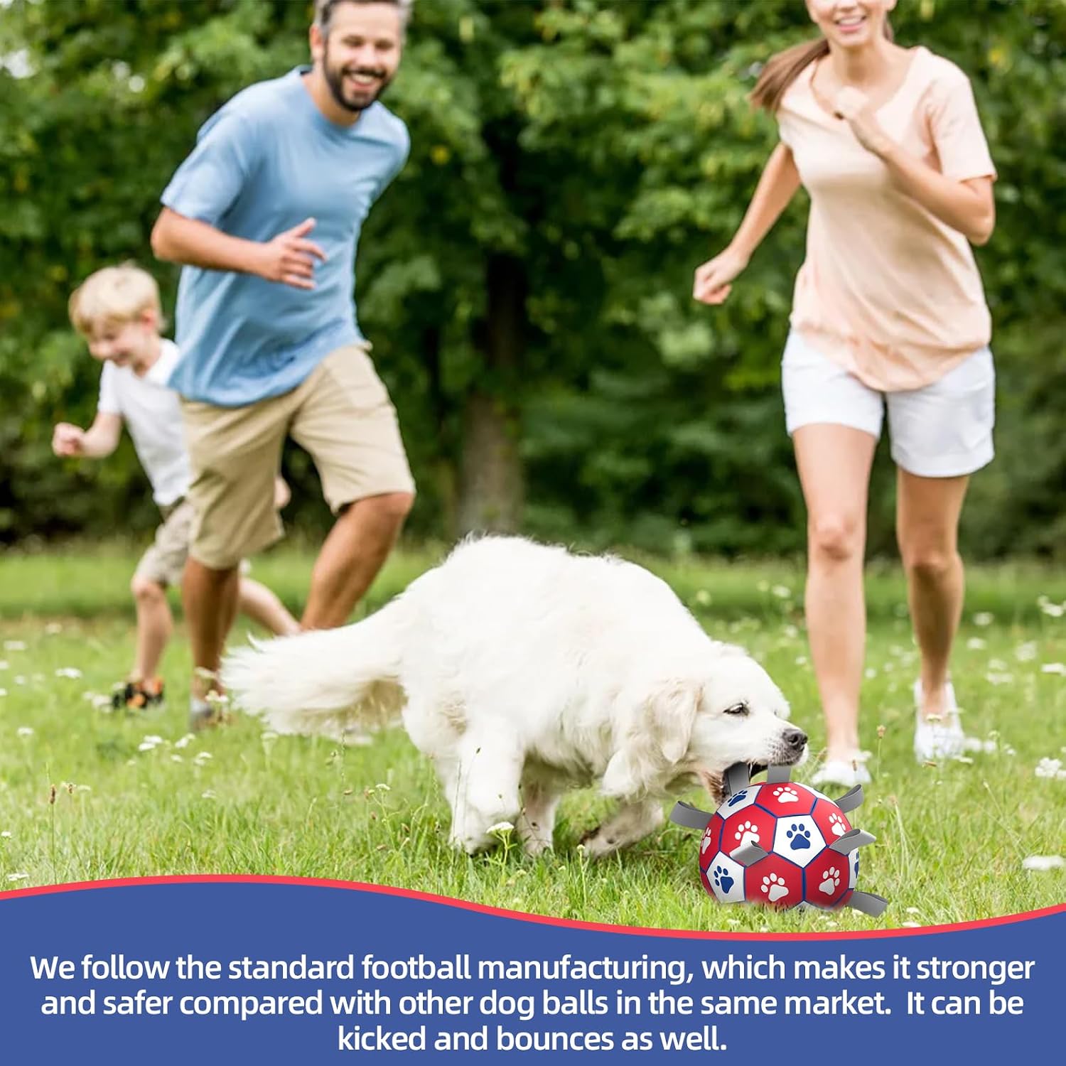 Detalle 2 de HETOO Dog Soccer Ball 8 inch