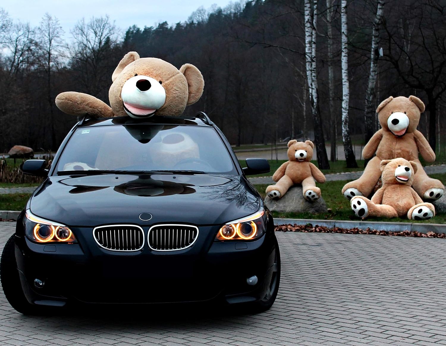 Thumbnail 5 de MAKOSAS MKS XXL Teddybär 260 cm