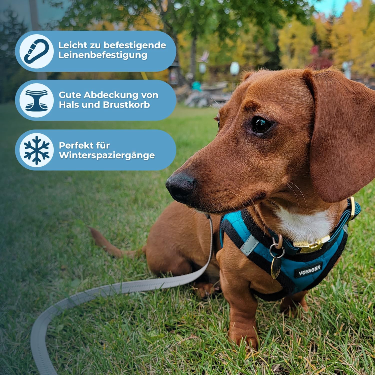 Detalle de Voyager Step-In Plüsch-Hundegeschirr – weiches, reflektierendes Geschirr für Kleine bis Mittlere Hunde (Türkis, Größe S, Brust 37–40 cm)