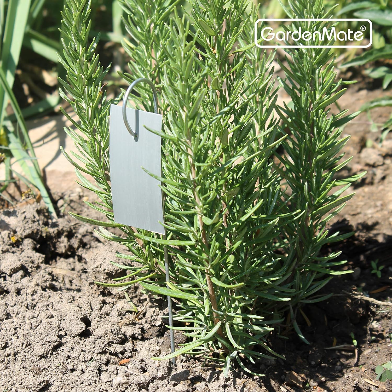 Thumbnail 4 de Gardenmate Set 25 etichette piante