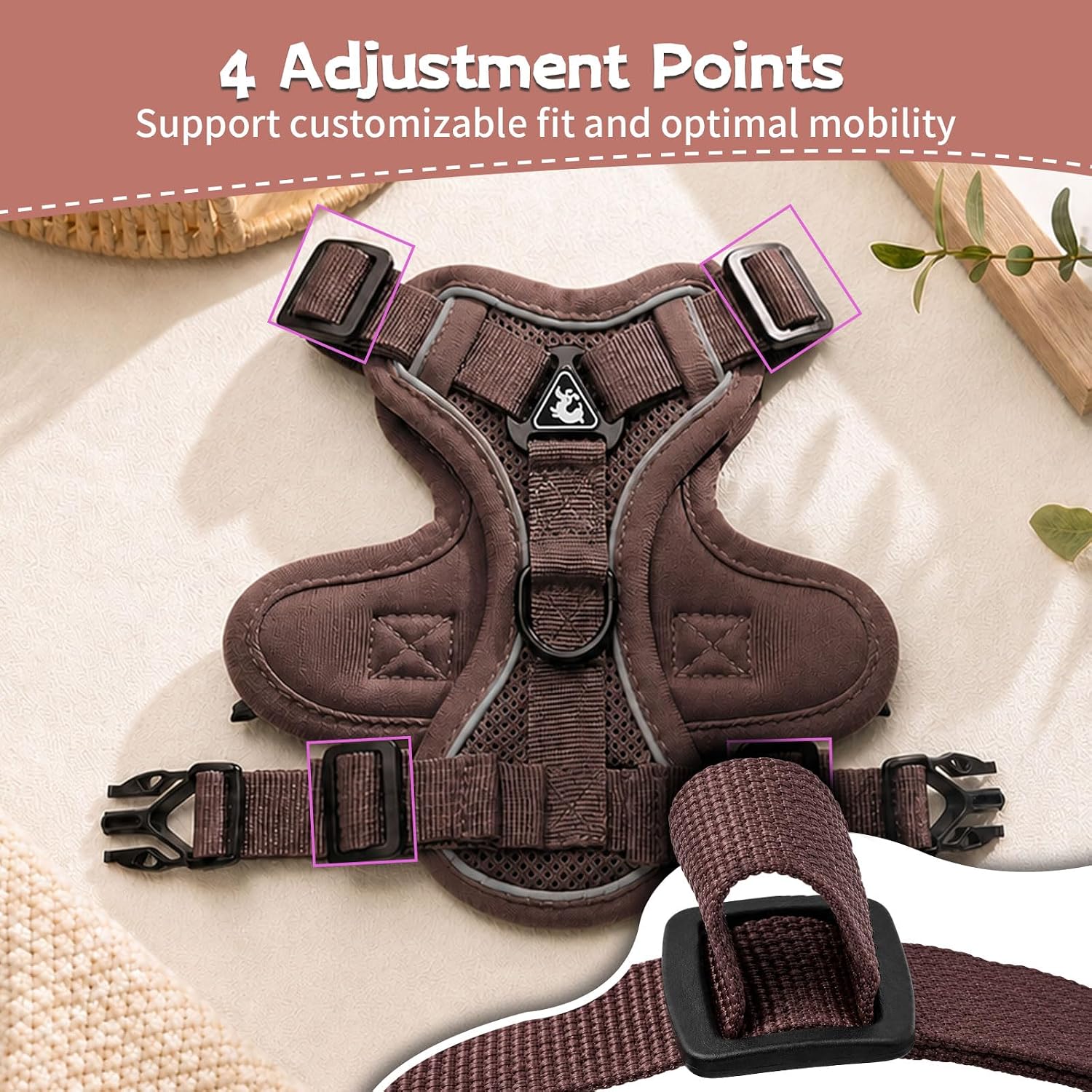 Detalle 2 de Cat and Small Dog Harness and Leash Set, XL