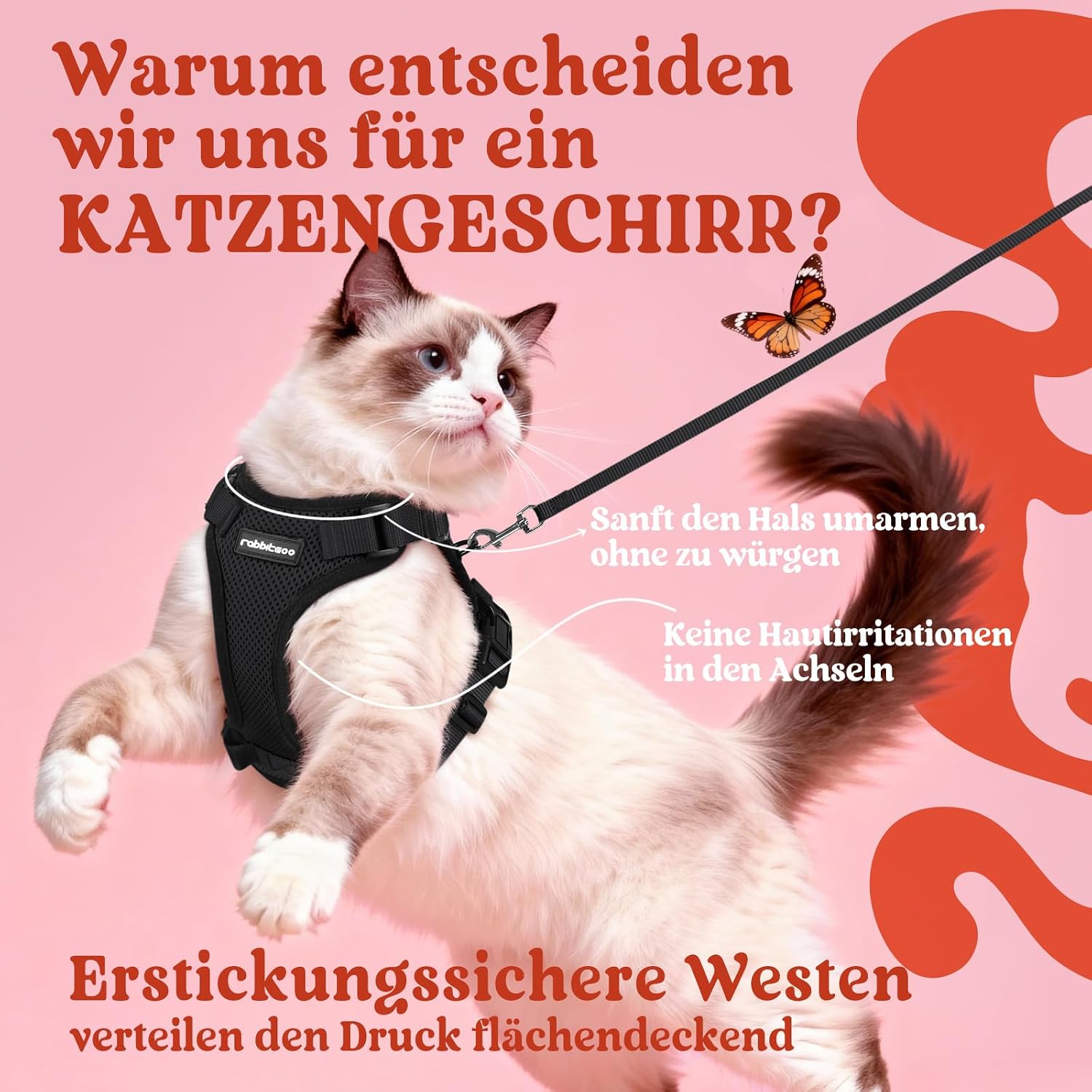 Detalle de rabbitgoo Katzengeschirr S 150 cm Leine đŸ