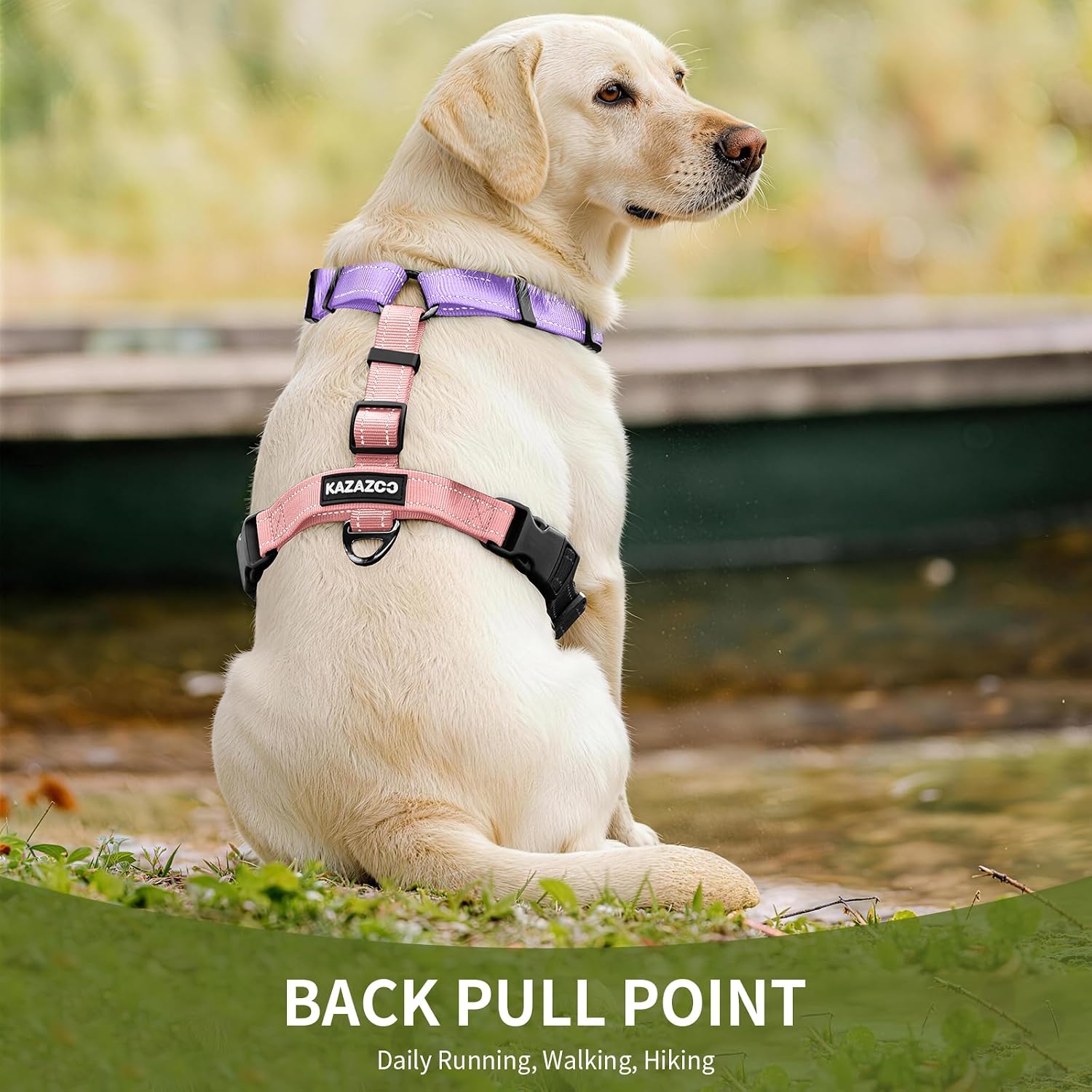 Thumbnail 3 de Dog Harness Pink-L