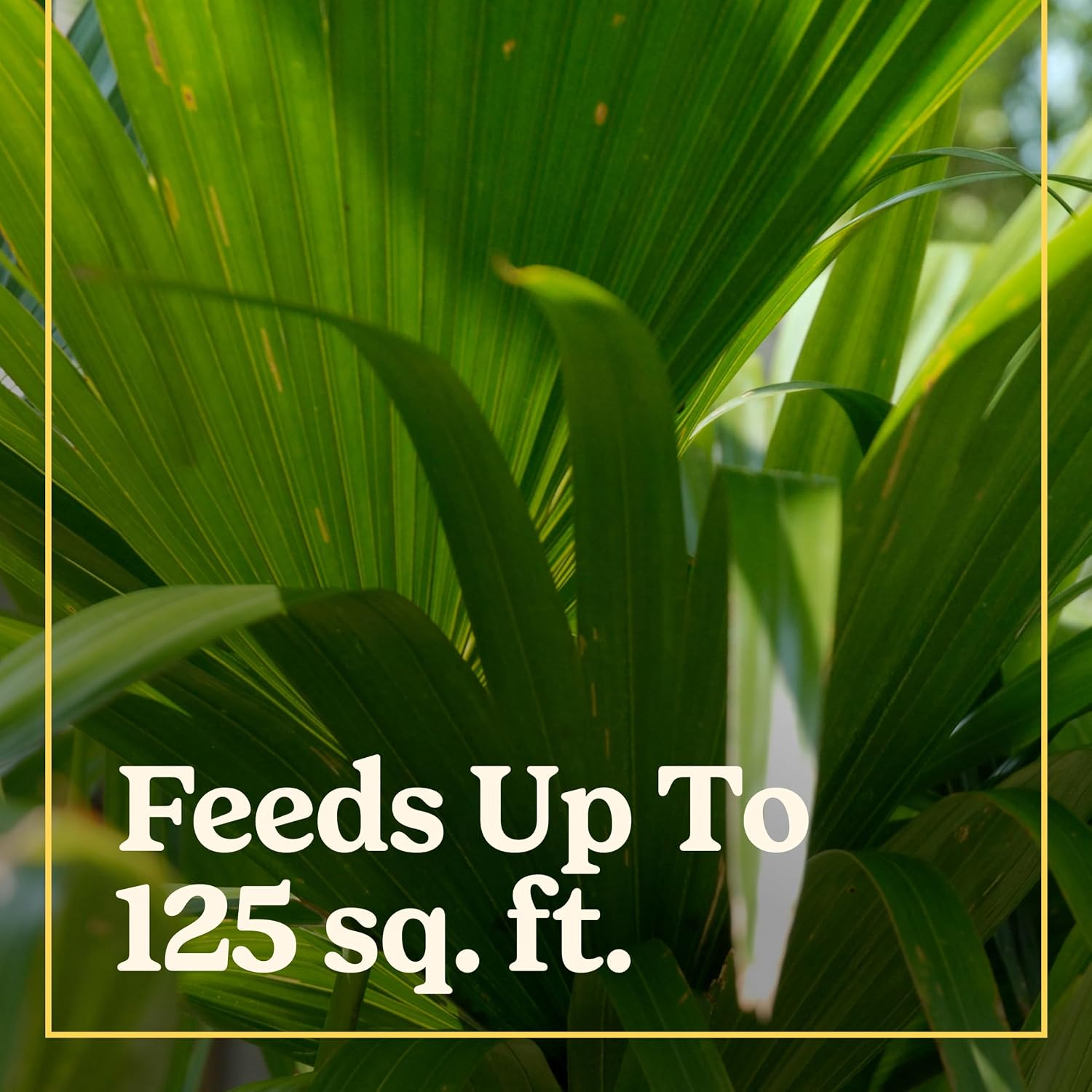 Detalle de Miracle-Gro 3002910 Shake 'N Feed Palm Plant Food, 4.5 lb. Powder