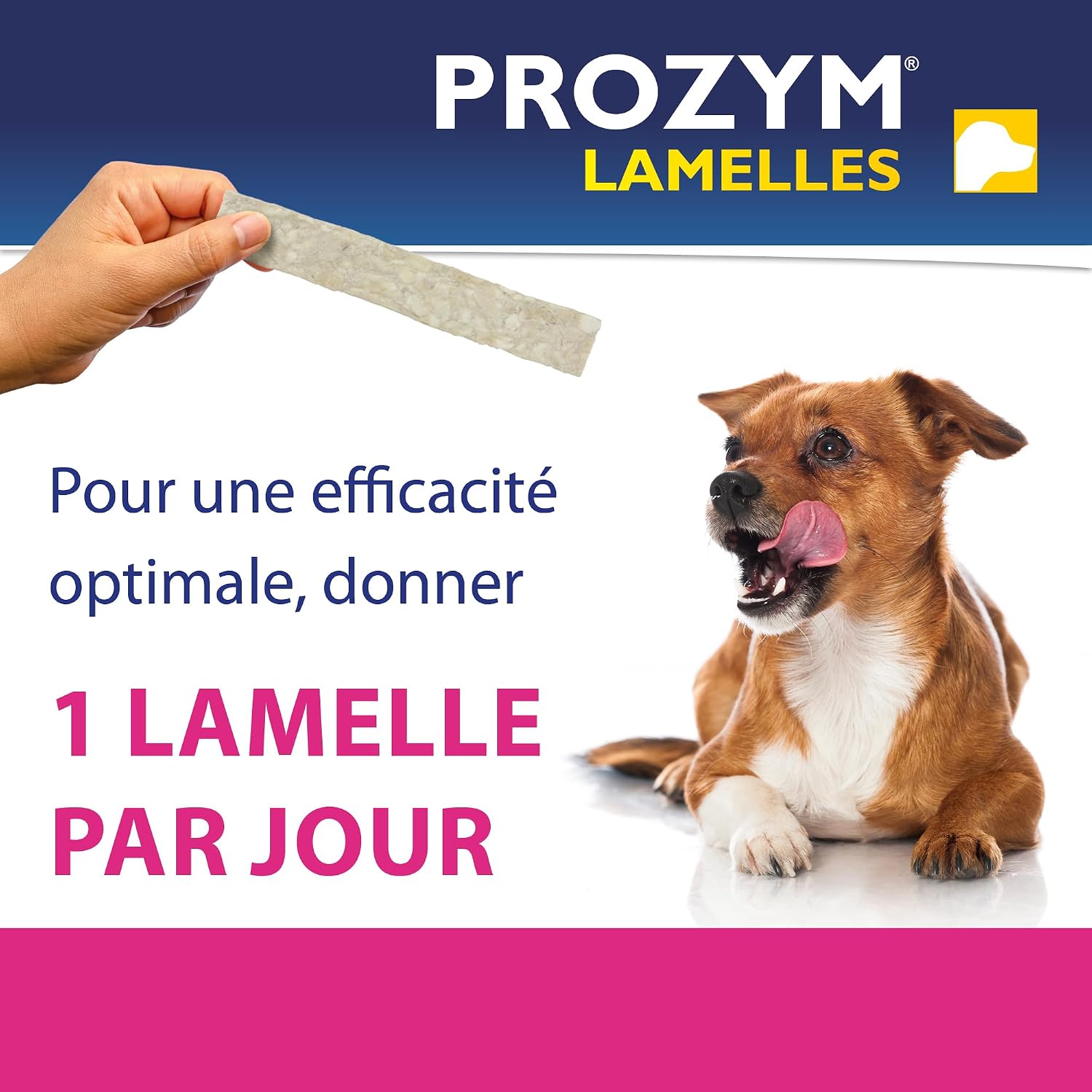 Detalle de Prozym 15 Lamelles – Soin dentaire à mâcher pour chiens (S)