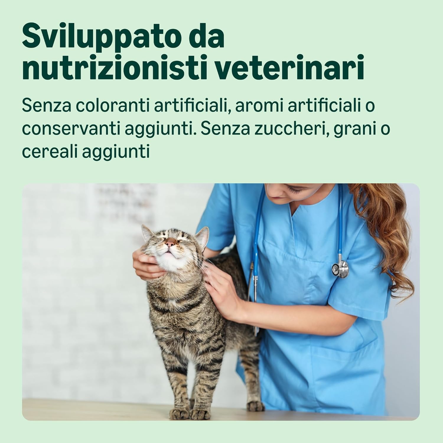 Thumbnail 3 de Cibo Umido per Gatti al Paté di Salmone 100 g – Confezione da 16
