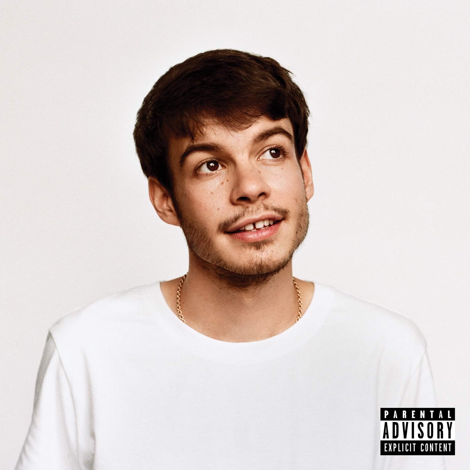 Detalle de Rex Orange County『Pony』アルバム、本人がほぼ全編を制作・演奏した2019年作
