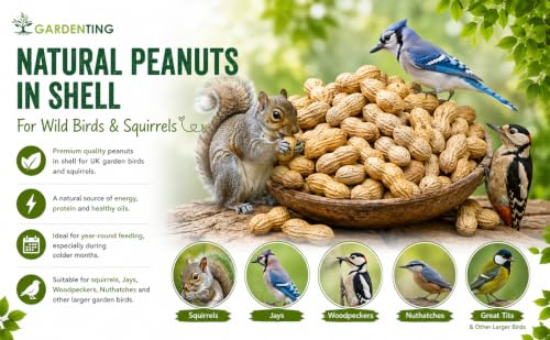 Thumbnail 1 de Garden Ting Premium Peanuts In Shell Monkey Nuts 3L Tub