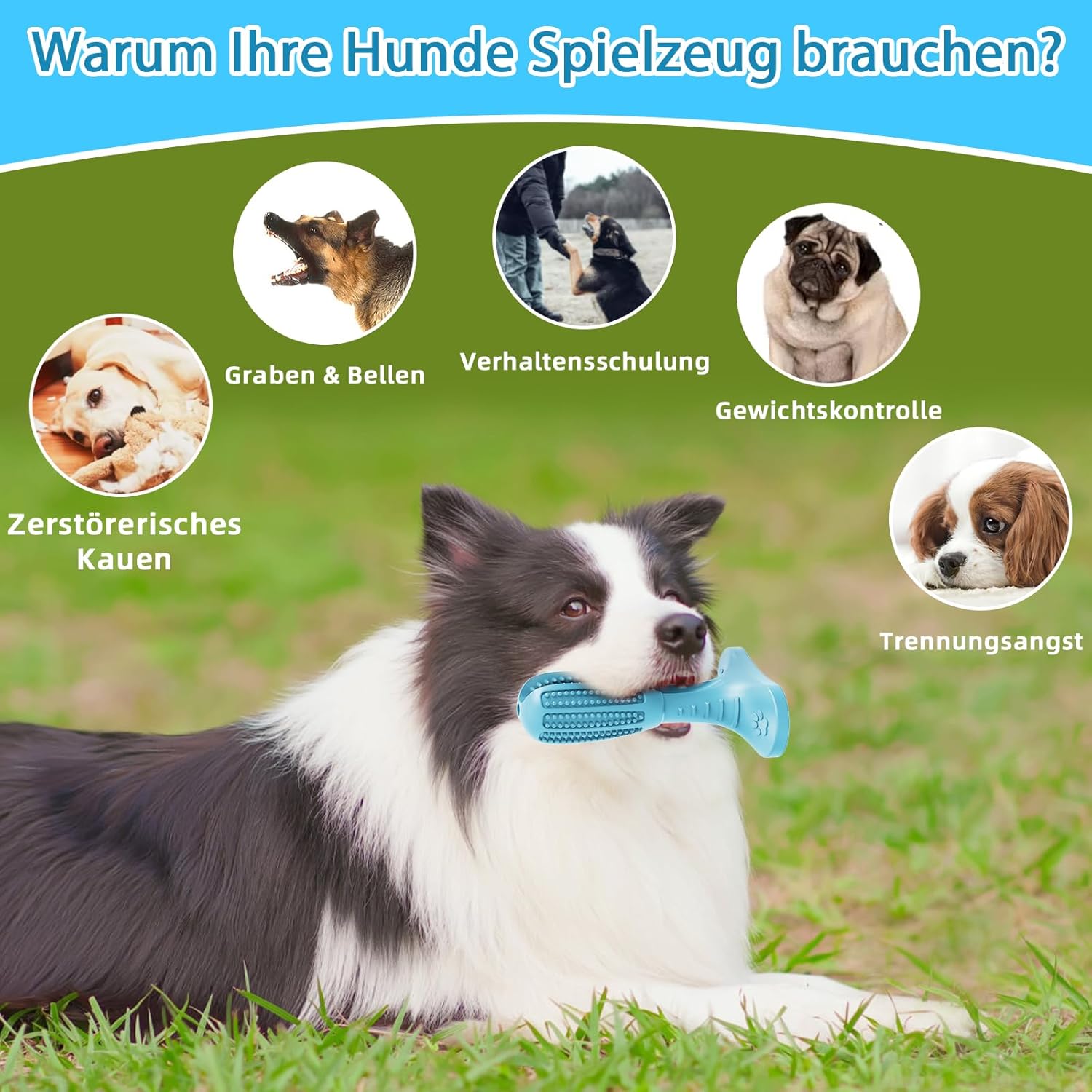 Detalle 2 de HETOO Kauspielzeug für Welpen und mittelgroße Hunde – Naturkautschuk Zähne-Reiniger, blaue Schleifstange