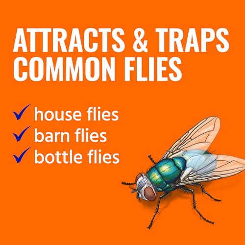 Thumbnail 1 de TERRO Fly Magnet Trap: Reusable, Poison-Free Outdoor Fly Catcher with Bait