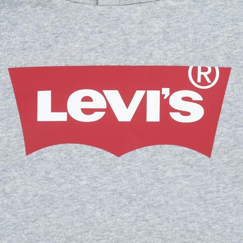 Thumbnail 2 de Levi's Lvb Batwing Hoodie Niños Gris 2 Años