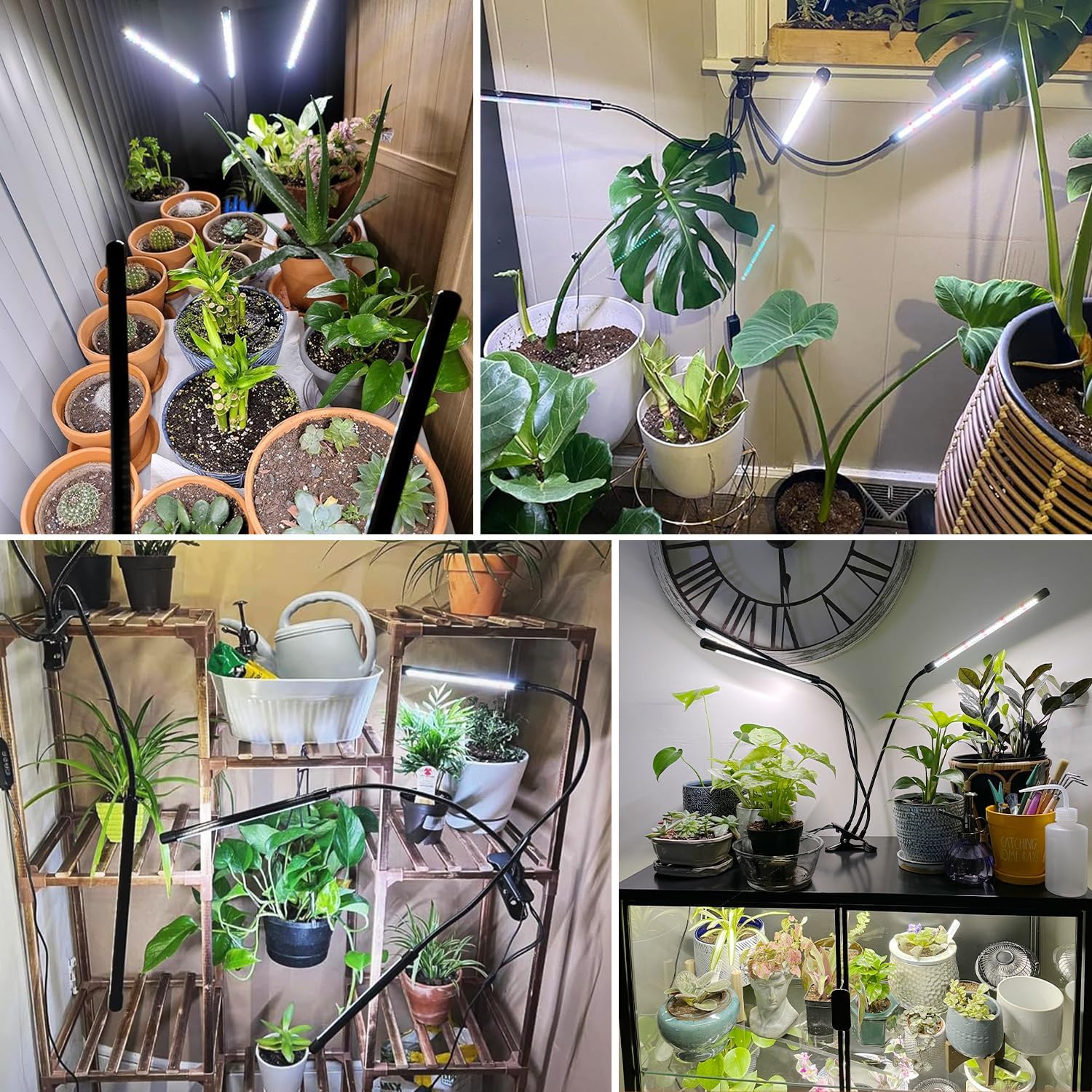 Thumbnail 6 de wolezek Grow Lights for Indoor Plants (3 Heads) 6000K Full Spectrum LED with Auto Timer and Dimming
