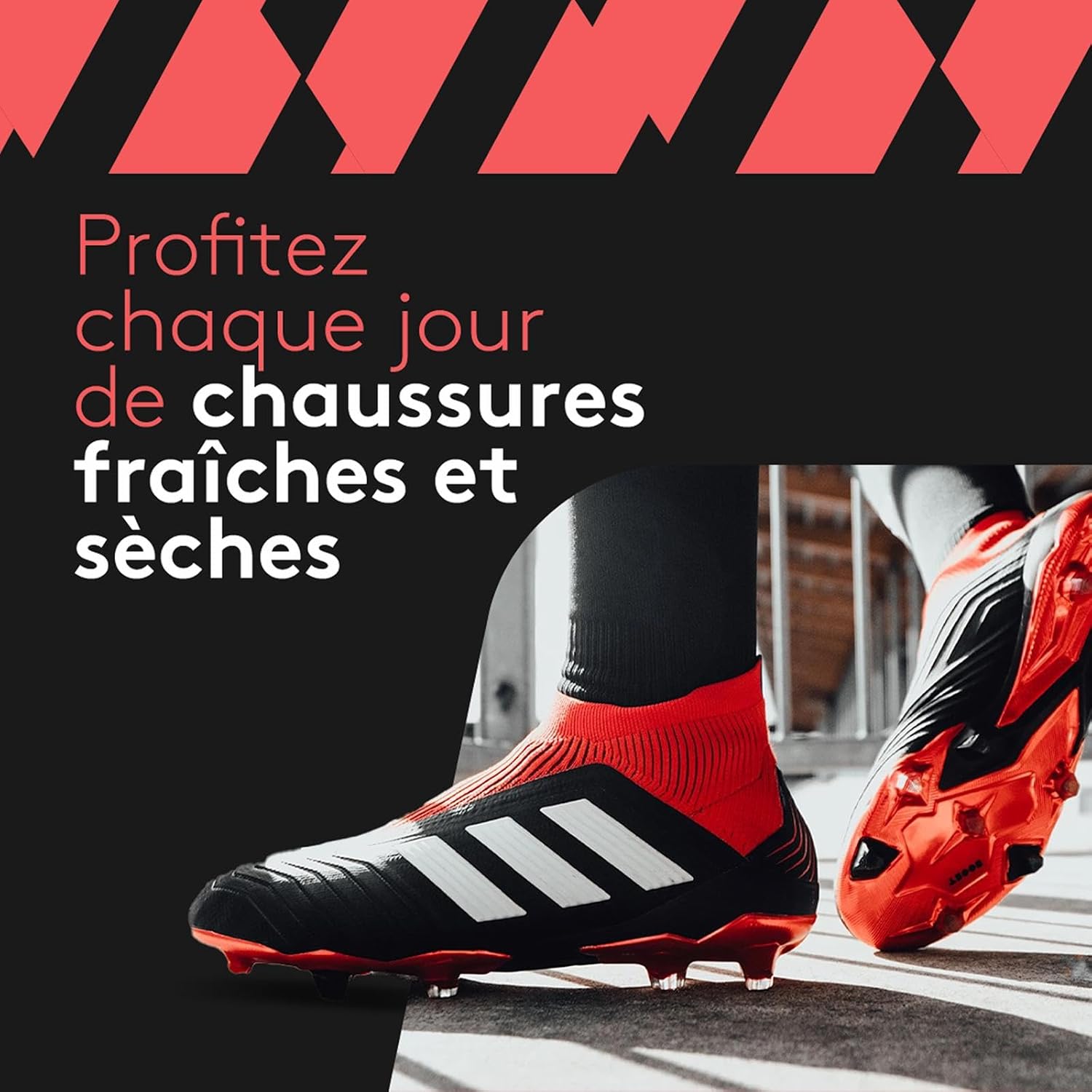 Thumbnail 1 de SHOEDRY Ozone: Sèche-Chaussures & Rafraîchisseur à l’Ozone pour vos équipements