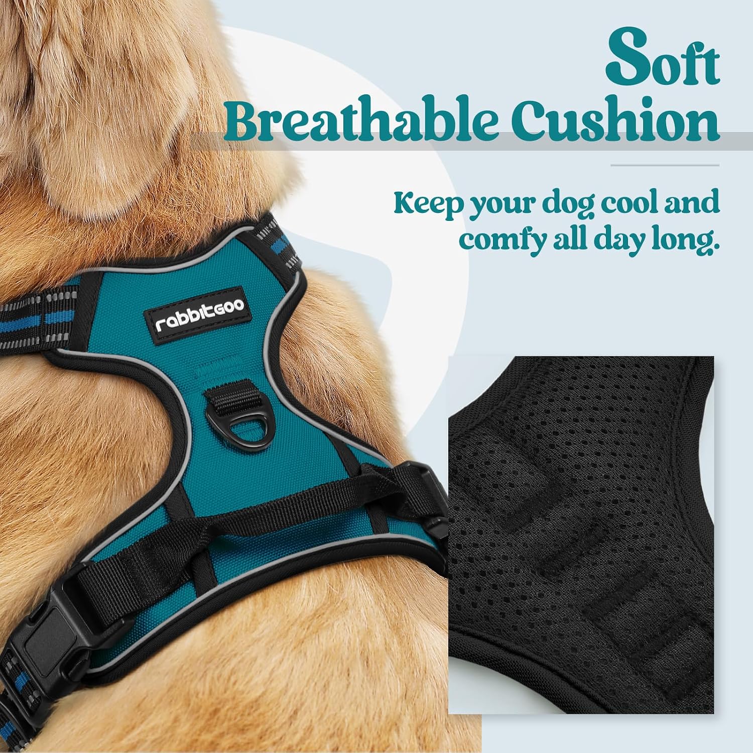 Detalle de rabbitgoo Dog Harness Medium No Pull with 2 Leash Clips, Adjustable Soft Padded Vest, Reflective, Dark Green (M)