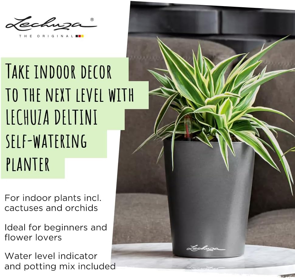 Thumbnail 3 de Lechuza Deltini antracite metallizzato 15x19x11,5 cm