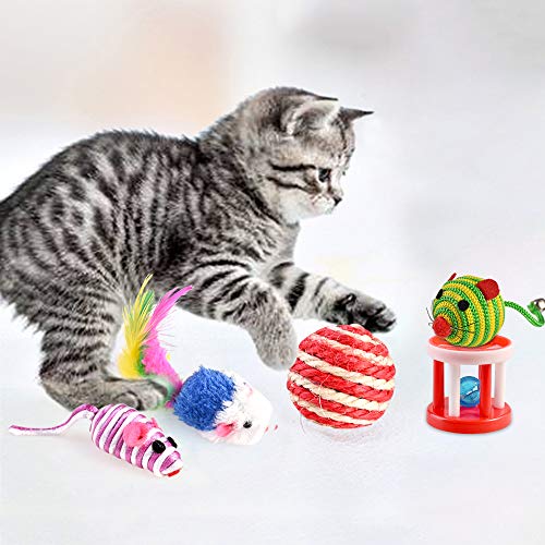 Thumbnail 6 de GOLDGE Jouets Chat Interactif, 16 pièces – stimulation et jeu pour chat