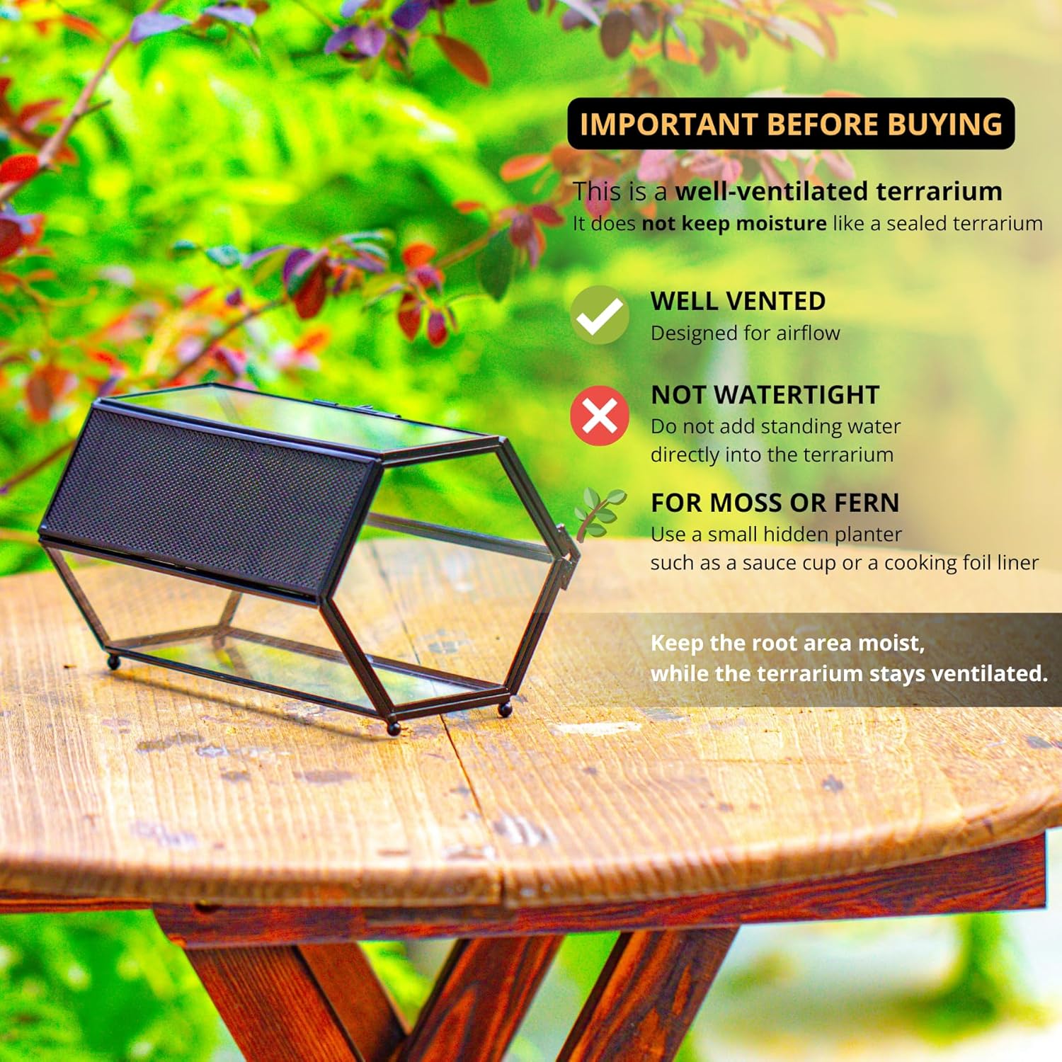 Detalle de NCYP Mini Glass Enclosure Terrarium with Mesh & Door for Jumping Spiders — Hexagon, 20 x 11.5 x 10 cm