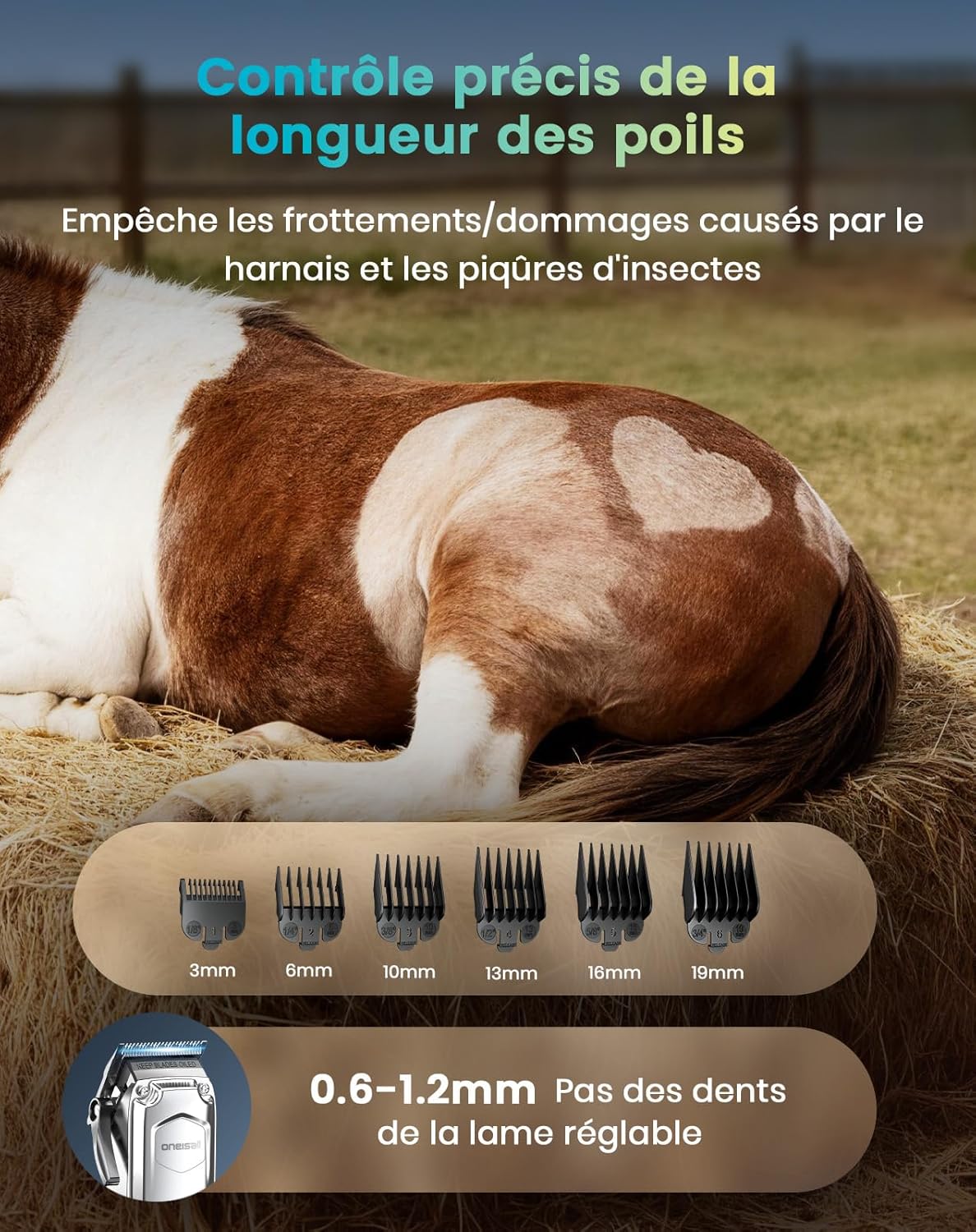 Thumbnail 4 de Oneisall Tondeuse sans fil silencieuse pour chevaux, rechargeable avec 6 accessoires et lame amovible