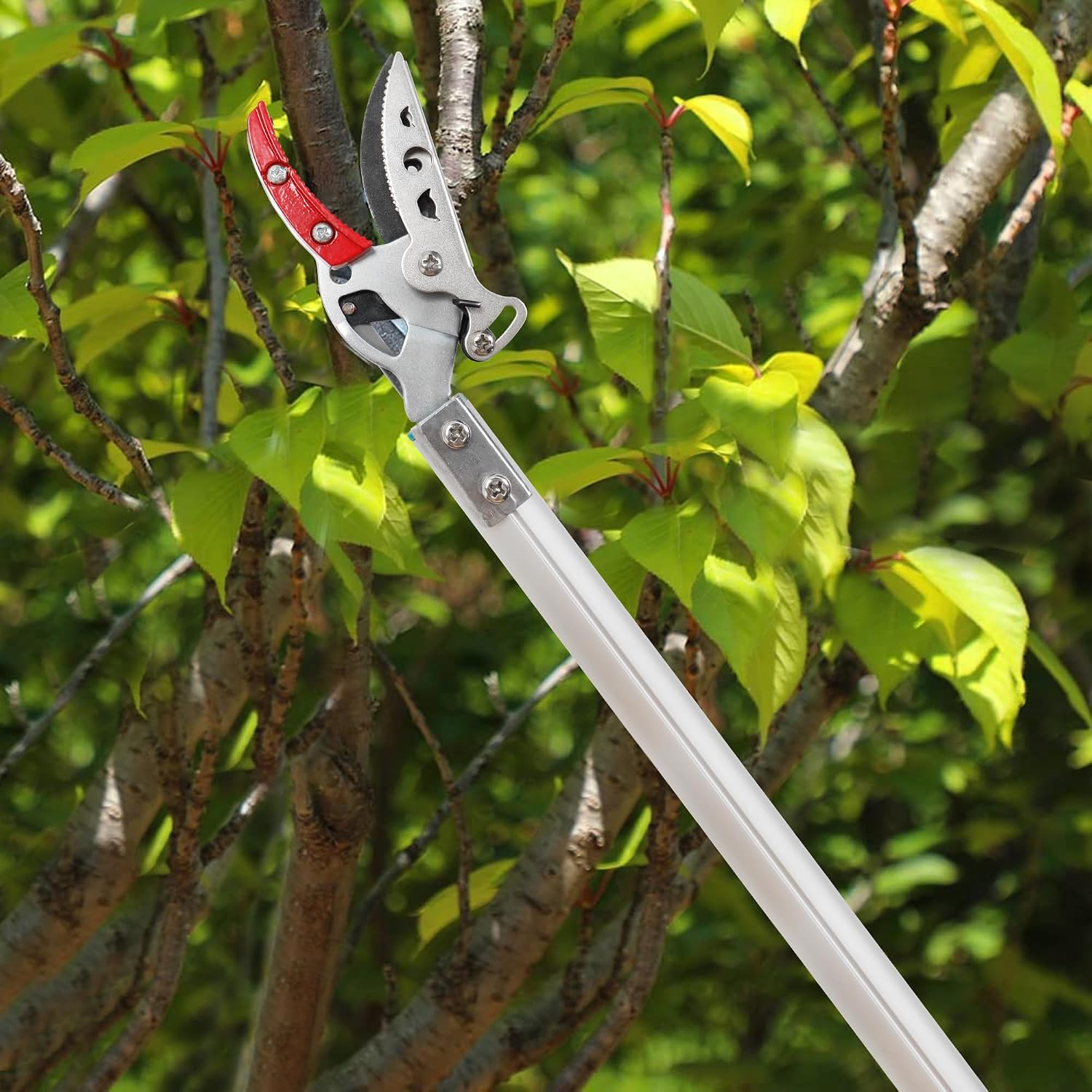 Thumbnail 6 de GARTOL Tree Pruner 130cm Long Reach