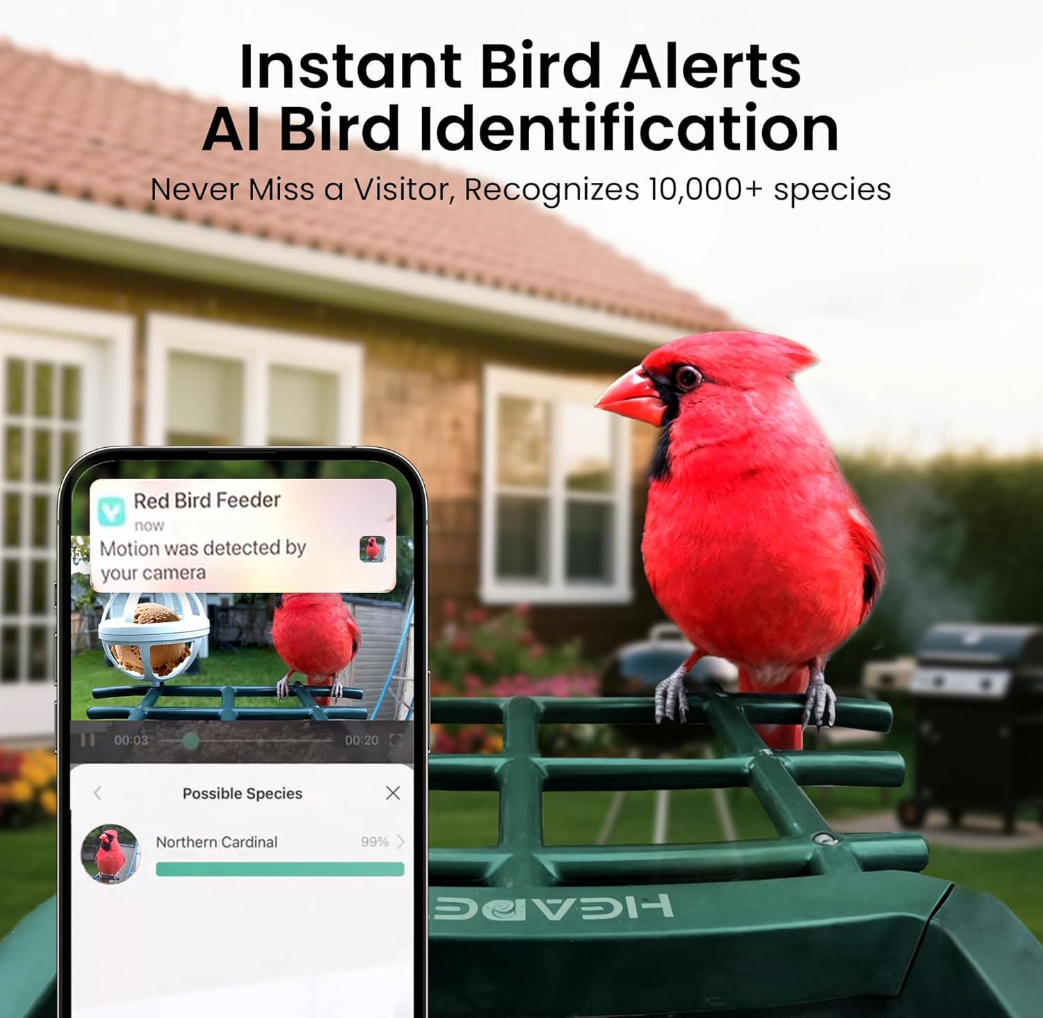 Detalle de Smart Bird Feeder with Camera – Solar Powered, 2K HD Video, AI Bird Identification, Red