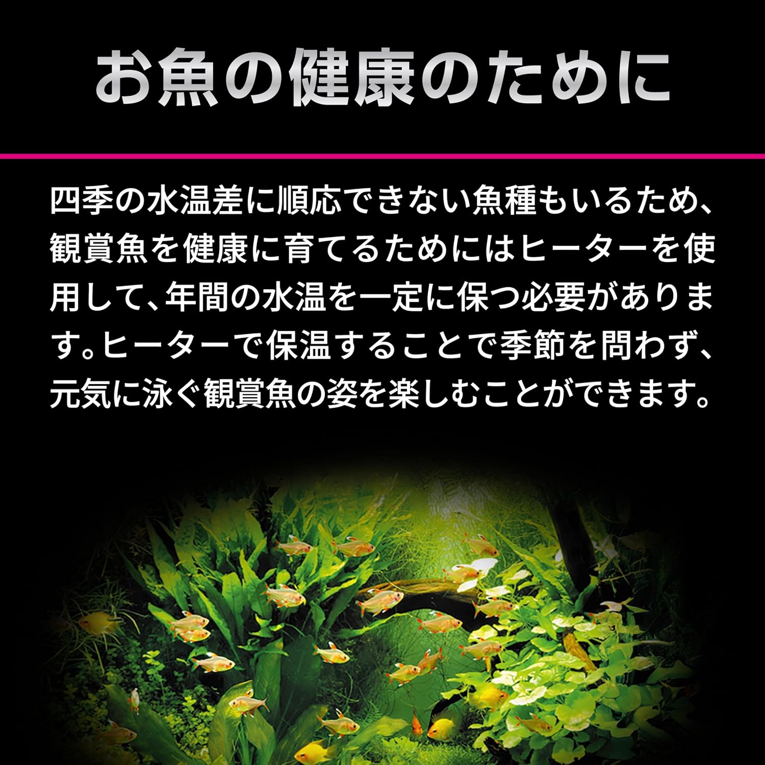 Thumbnail 6 de ジェックス スタンディ 80 水槽用オートヒーター 26℃固定・縦横設置・安全機能付き