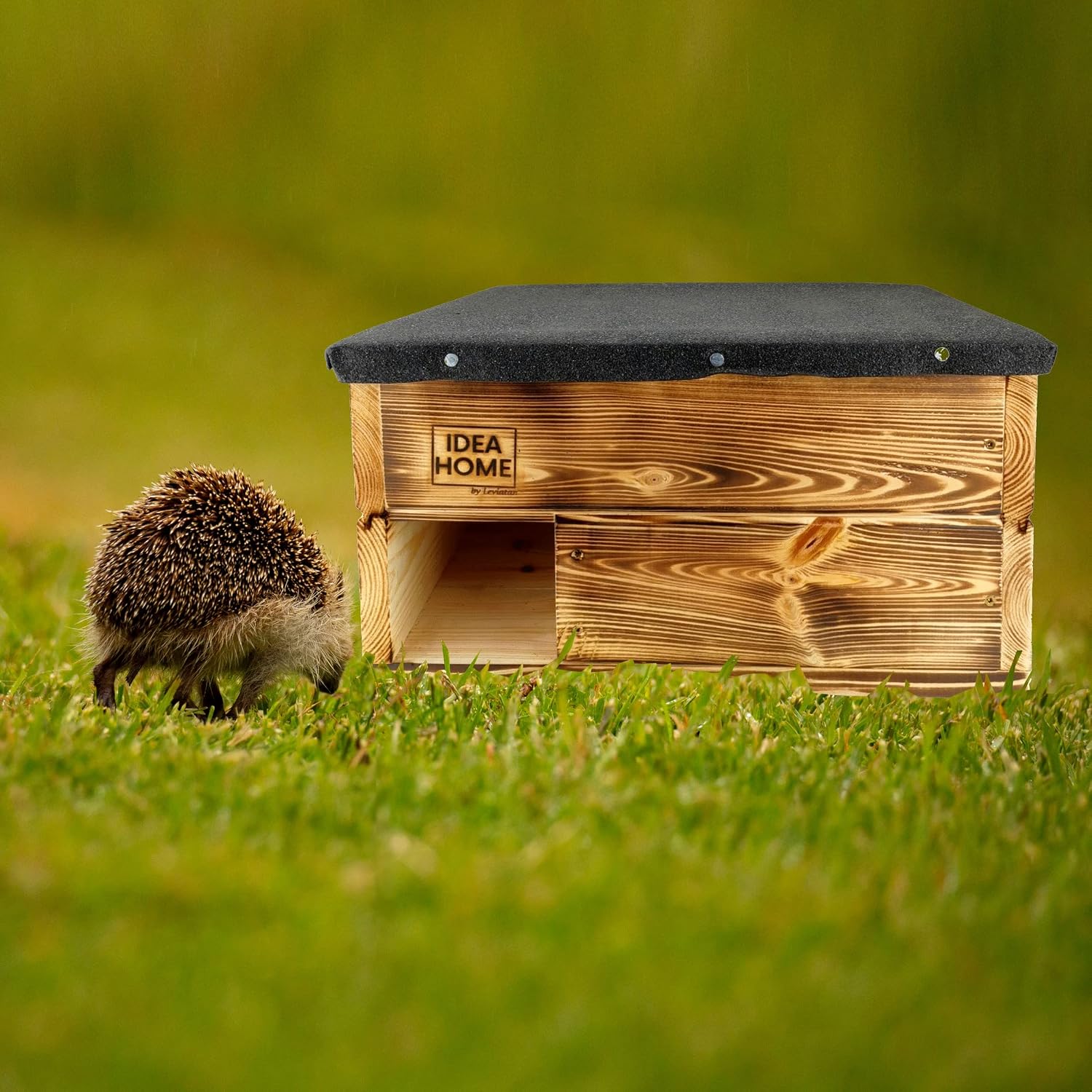 Detalle de IDEA HOME – domek dla jeży z litego drewna, z labiryntem i zdejmowanym dachem