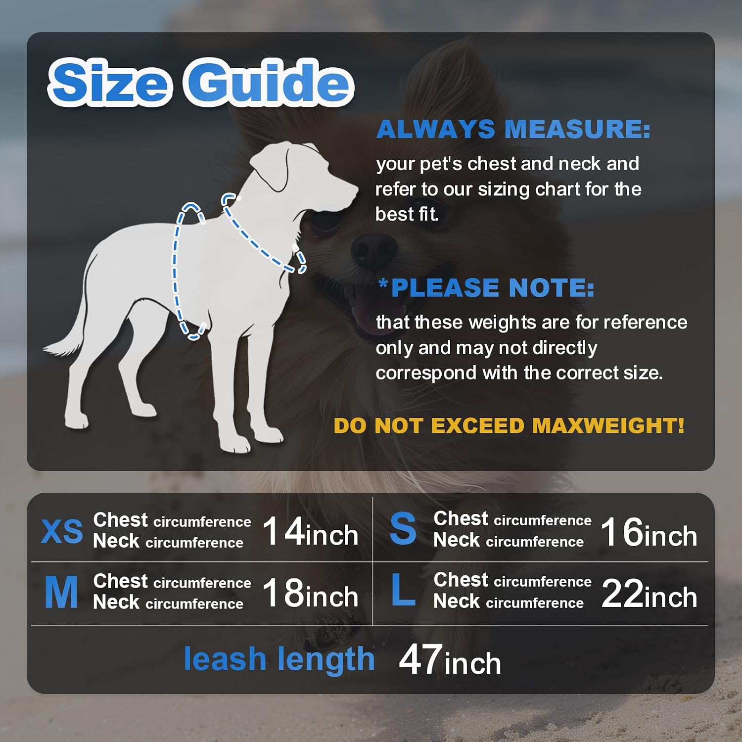 Detalle 2 de Dog Harness and Leash Set, Size S