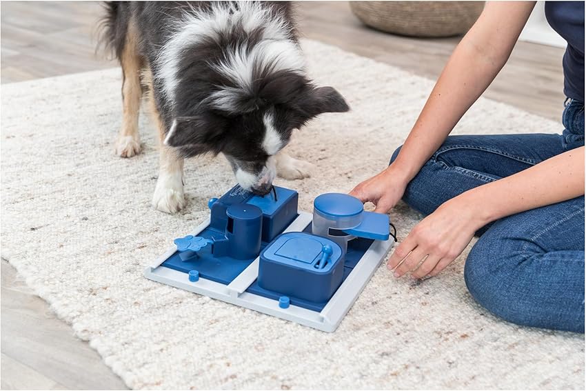 Thumbnail 2 de Trixie Dog Activity Poker Box 2, Juguete Interactivo para Perros 🐾