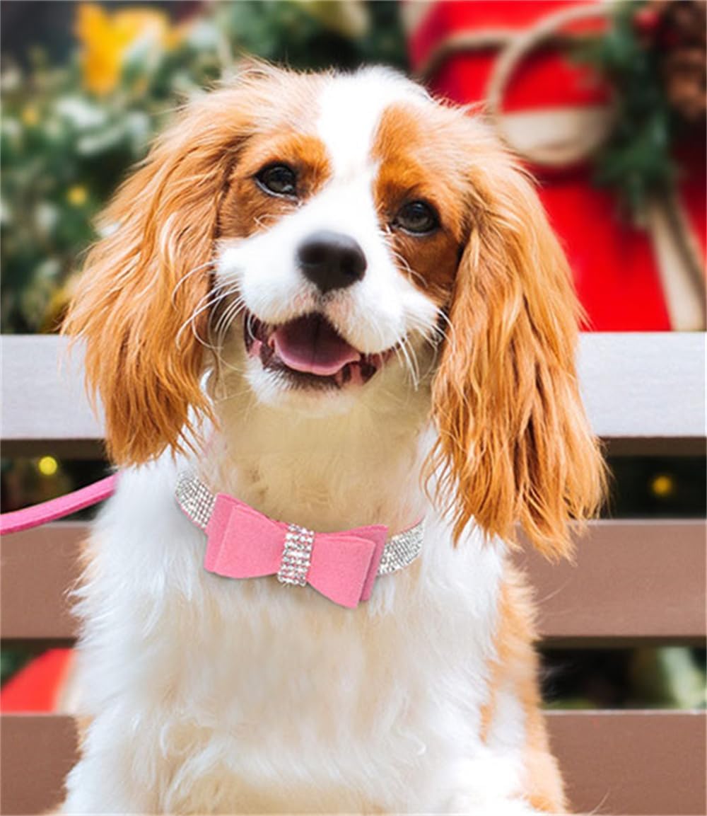 Detalle de Dog Collar, Suede