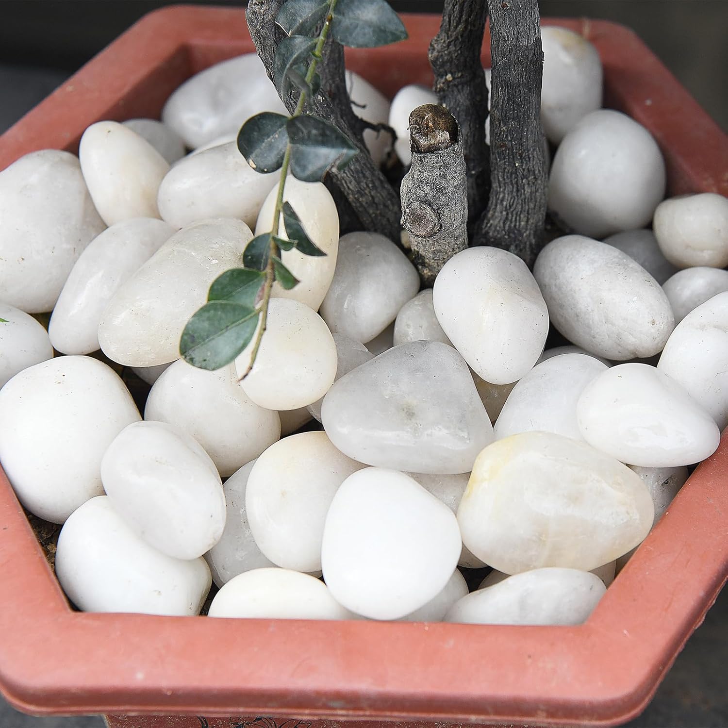 Thumbnail 2 de Hisredsun 3.96 lb White Polished Stones 3–5cm Aquarium Pebbles 🪨