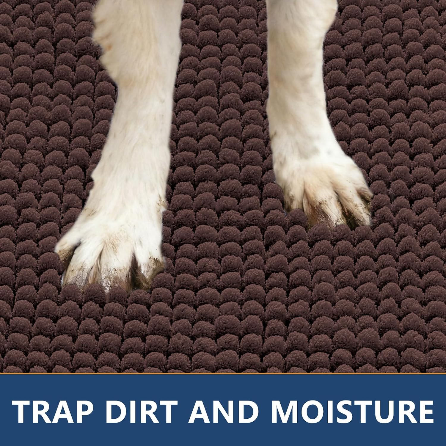 Detalle 2 de Smiry Dog Door Mat, 36x24