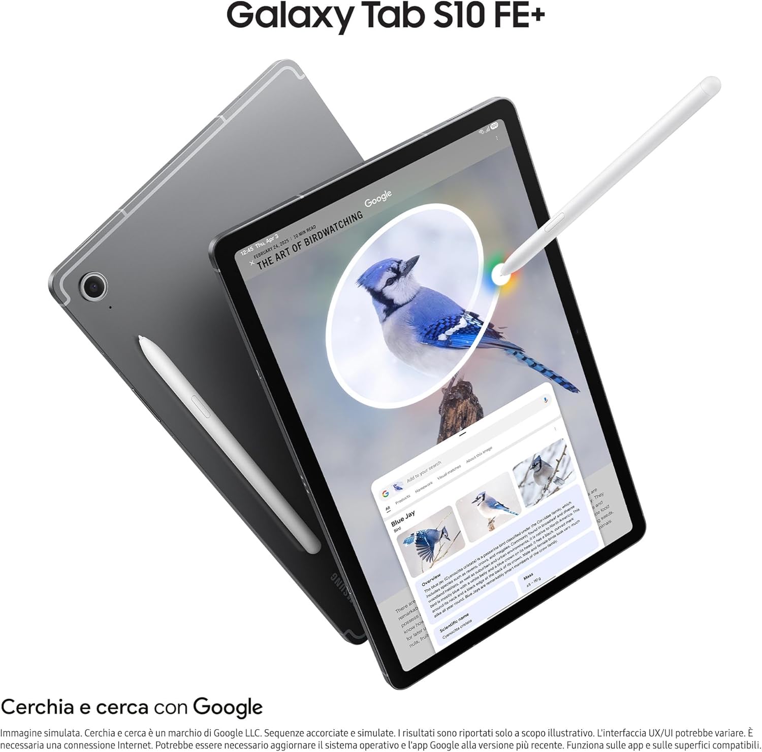 Thumbnail 1 de Samsung Galaxy Tab S10 FE+: tablet Android da 13,1'', S Pen incluso e IP68