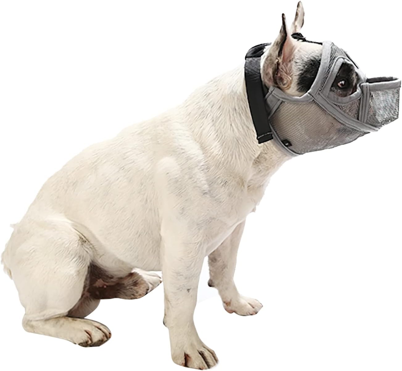 Thumbnail 6 de Short Snout Adjustable Mesh Dog Muzzle for Biting, Barking and Training (Bulldog, Pug, Shih Tzu, Pekingese)
