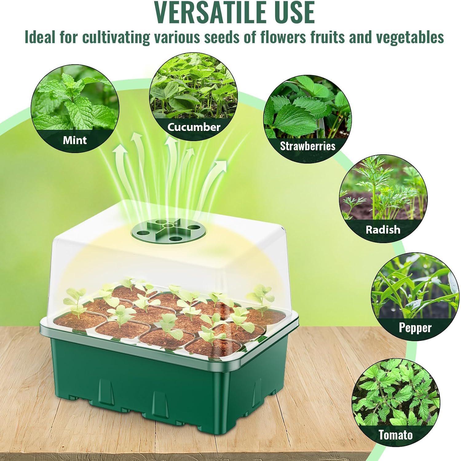 Detalle 1 de NBPLUS Seed Starter Tray, 60-Cell