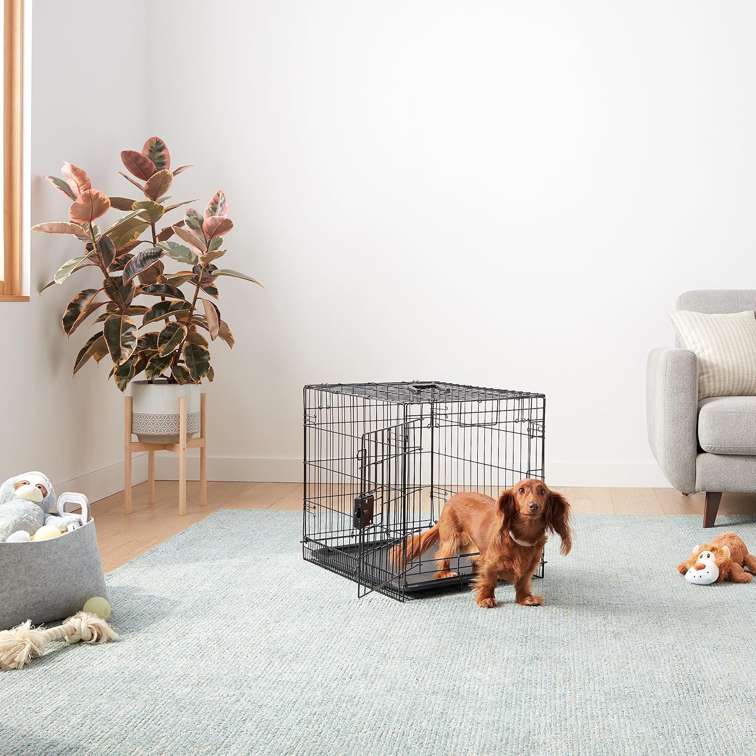 Thumbnail 5 de Amazon Basics Jaula para Perro Plegable 61x46x51 cm