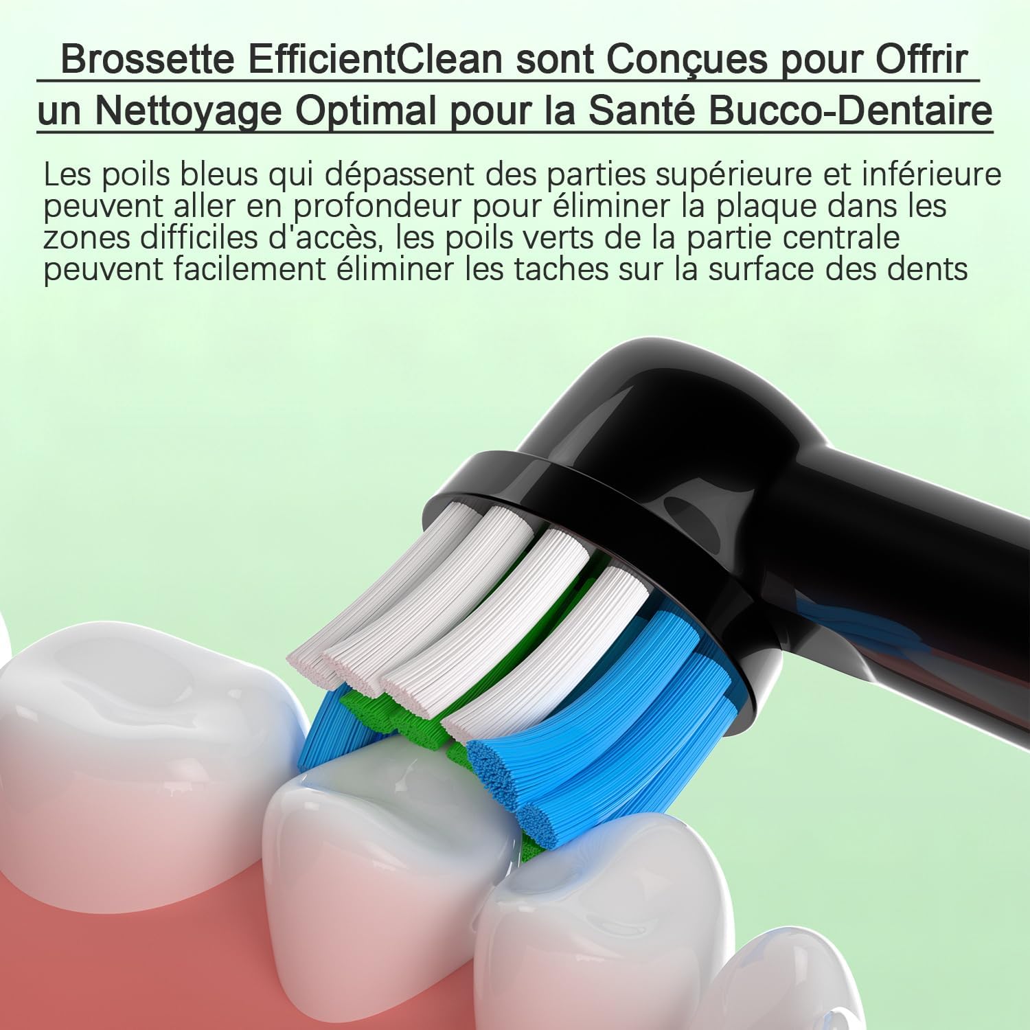 Thumbnail 2 de Qitizu Brossettes 20 pcs Oral-B
