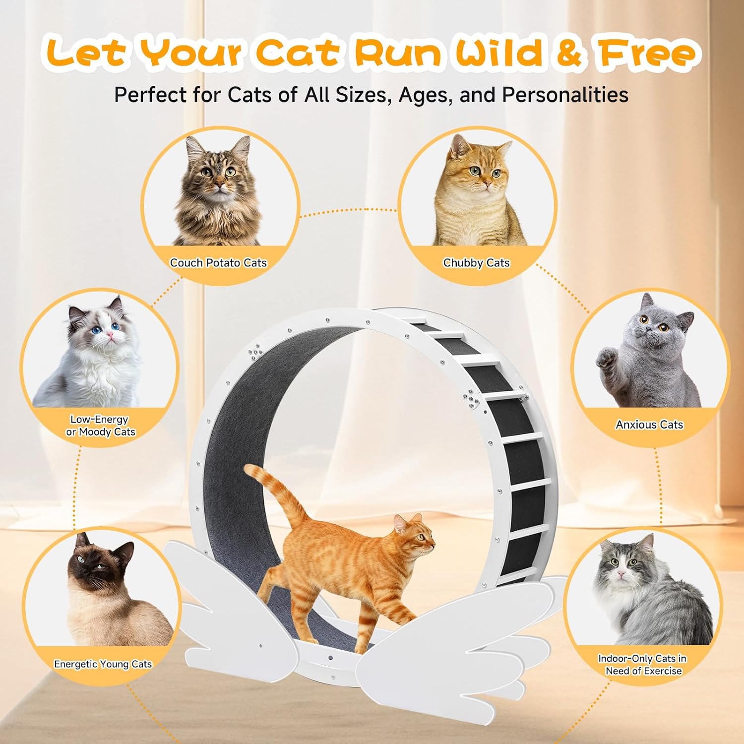 Thumbnail 6 de GTPLAYER Cat Exercise Wheel, 40-Inch