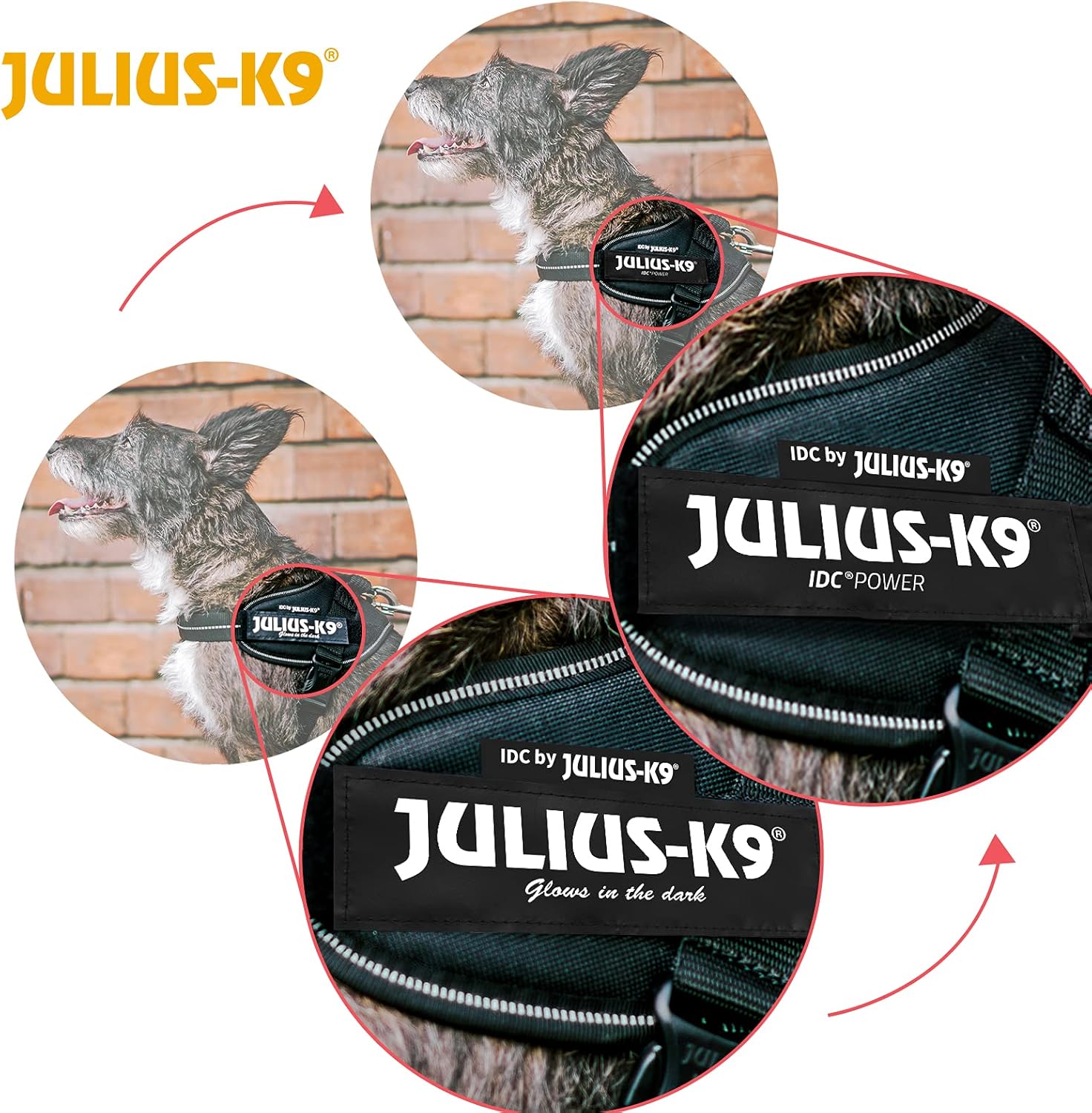Thumbnail 6 de JULIUS K-9 IDC Power Harnais, Taille 0, Rose – Tour de poitrine 58–76 cm, 14–25 kg