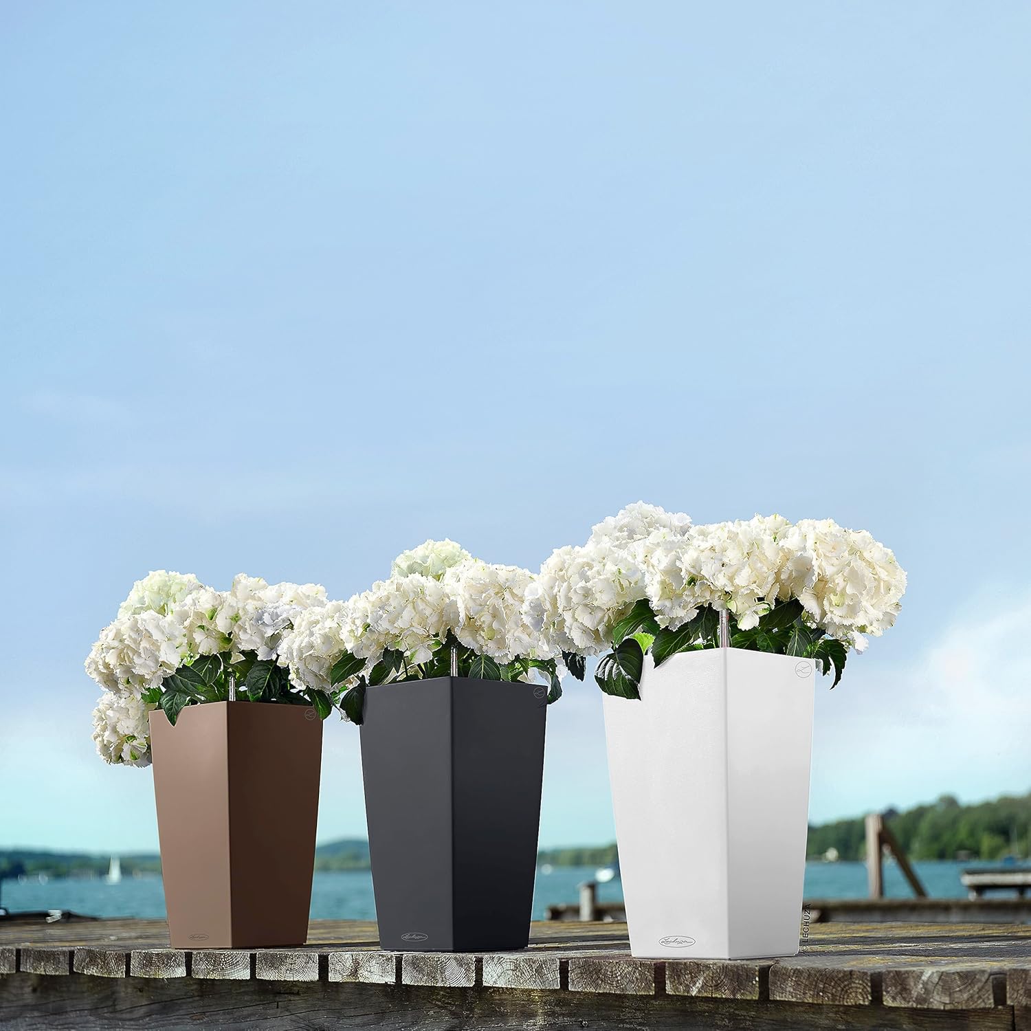 Thumbnail 5 de Lechuza Cubico Color 22 Schiefergrau