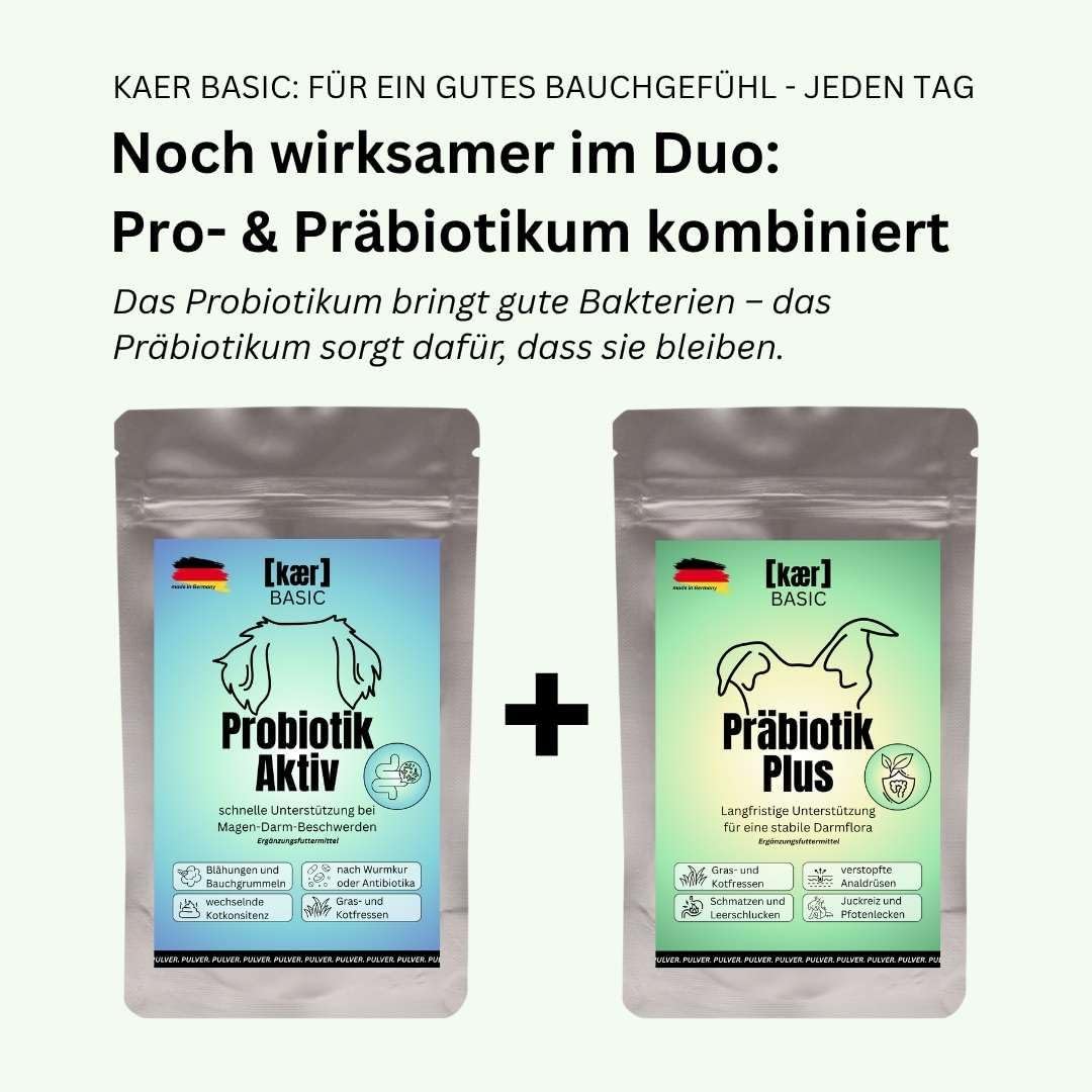 Thumbnail 6 de kaer basic Präbiotik Plus Pulver für Hunde (2×200 g) – Probiotika-Unterstützung für die Darmflora