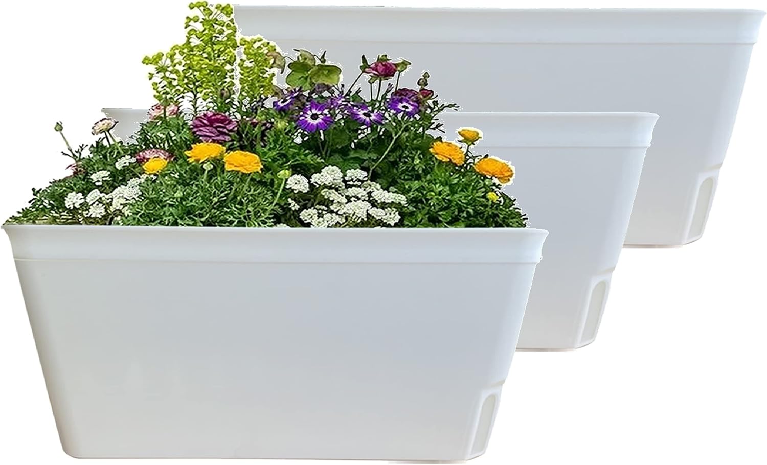 Detalle de Olly & Rose Lazy Planters Self-Watering