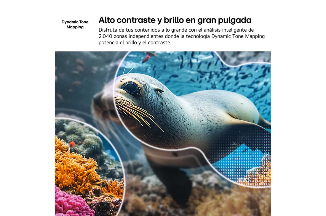 Detalle de LG NANO 4K UHD AI NU80 75'' (75NU8E0B3LA.80E) 2026 — Ficha y análisis de compra