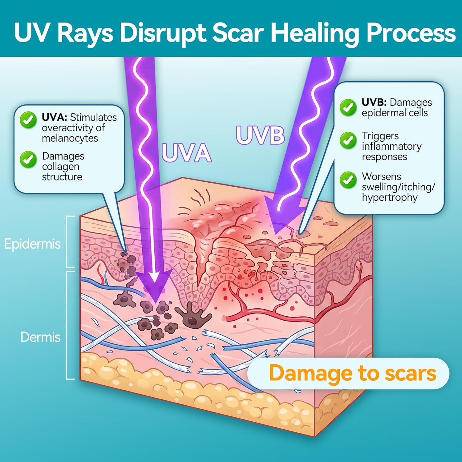 Thumbnail 2 de Dimora UPF50+ Silicone Scar Sheets with UV Protection: Softens, Flattens, and Fades Scars