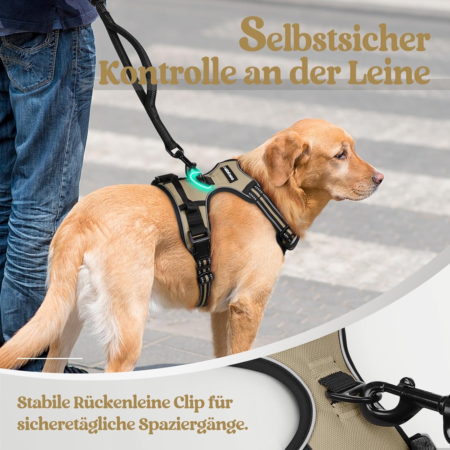 Thumbnail 6 de rabbitgoo Hundegeschirr Mittelgroße Hunde – Anti-Zug, verstellbar, atmungsaktiv, Reflektor, Größe S (33–61 cm Brustumfang)