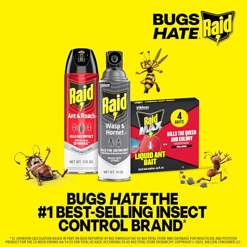 Thumbnail 8 de Raid Ant & Roach Killer Bug Spray, Fragrance Free, 17.5 oz, 2 Count