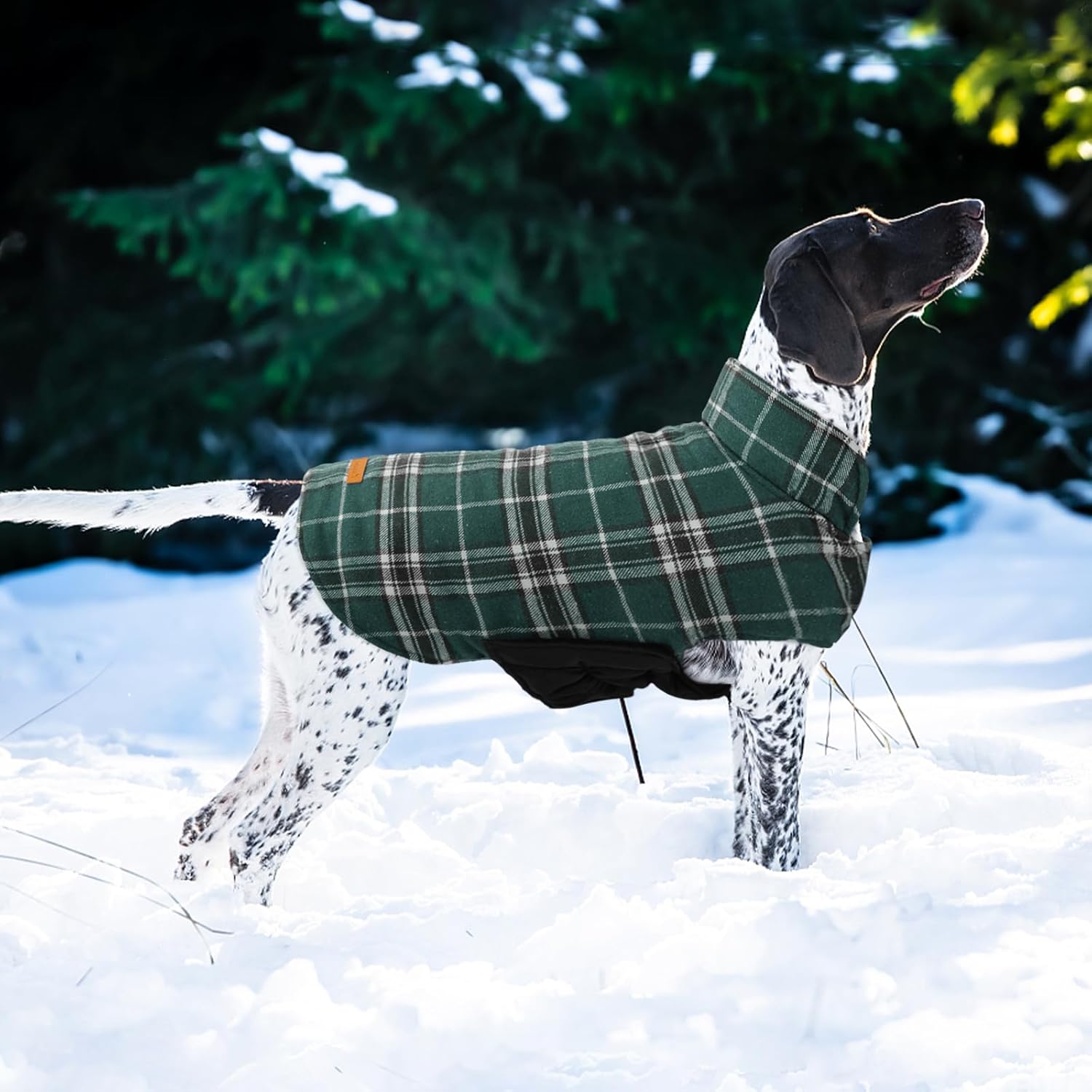 Thumbnail 6 de Kuoser Kuoser-92972-Green-M Dog Coat, Reversible Fleece-Lined, Water-Resistant