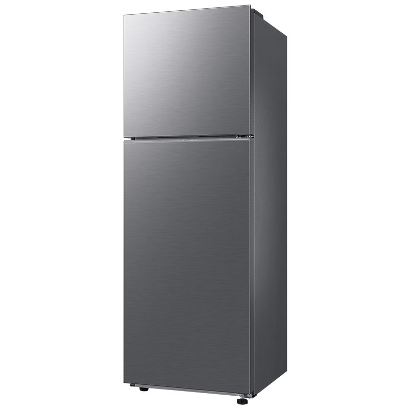 Detalle de Samsung RT31CG5624S9: Frigorífico 2 puertas en acero inoxidable, 305 L, Top Mount Freezer