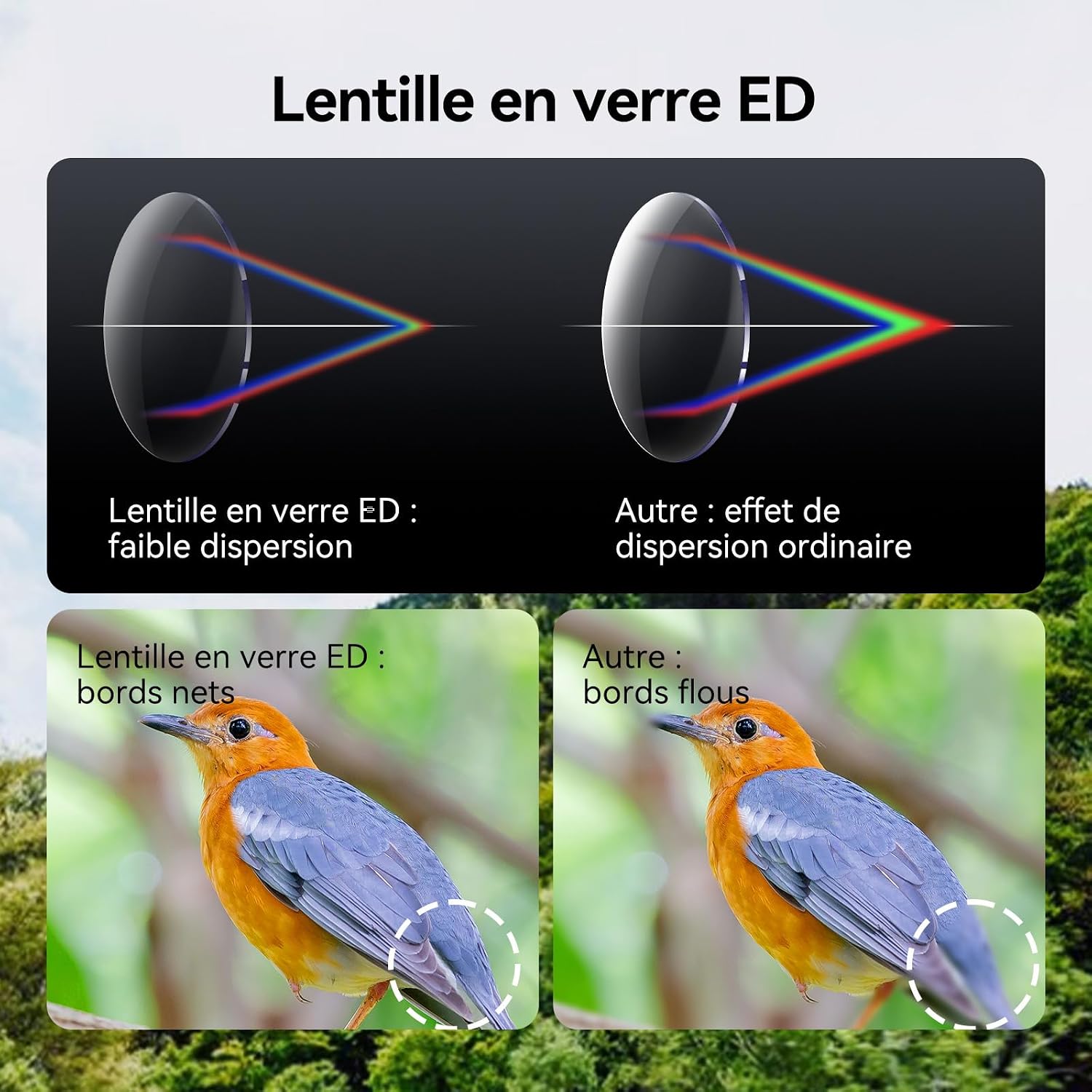 Detalle de Svbony SV202 Upgraded 8x32 ED : jumelles étanches FMC pour l’observation des oiseaux